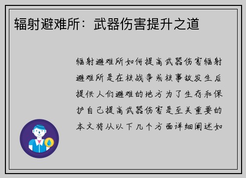 辐射避难所：武器伤害提升之道